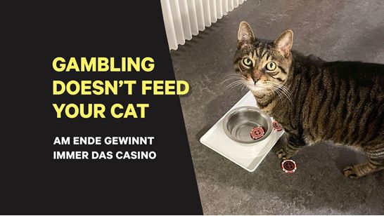 V3 Header Katze Web 1600X900 V3 Header Katze Web 1600X900